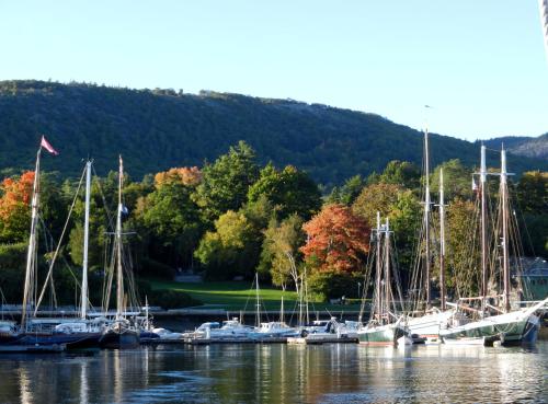 a bunch of boats docked in the water at Cedar Crest Inn in Camden
