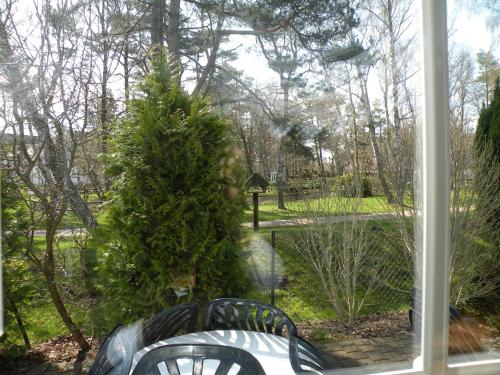 Gallery image of Ferienhaus Dierhagen Strand I & II in Dierhagen