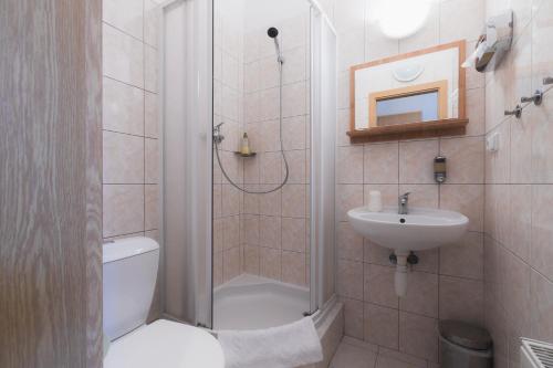 a bathroom with a shower and a toilet and a sink at Penzion U Vlka in České Budějovice