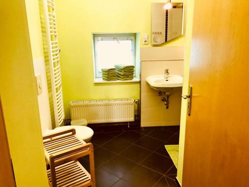 a bathroom with a toilet and a sink and a window at Ferienwohnungen "Am Mühlteich" in Radeburg