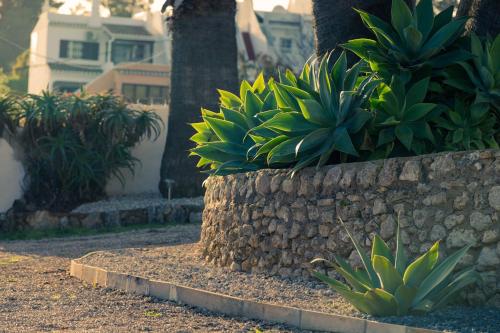 a retaining wall with plants in a yard at Vila Horizonte in Carvoeiro