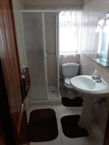 a bathroom with a shower and a sink and a toilet at Grazzja Traditional Apartment in Żabbar
