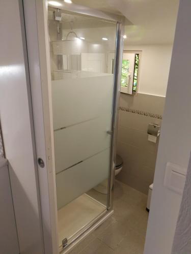 La salle de bains est pourvue d'une douche en verre et de toilettes. dans l'établissement petite maison dans le parc national des calanques, à Marseille