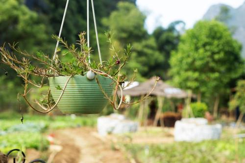Giardino di Nirvana Organic Farm Inn