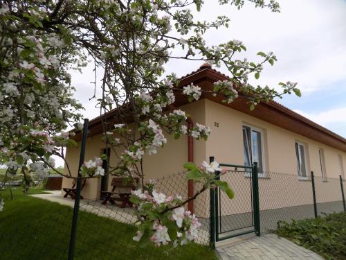 a house with a fence and flowering trees at Holiday House Adrelot in Heřmaničky