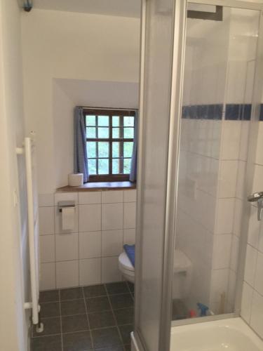 a bathroom with a shower and a toilet and a window at Piburg Seebichlhof in Oetz