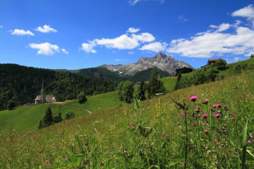 Neider – Photos 2