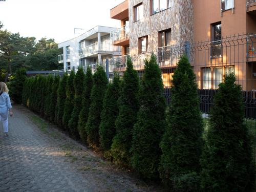 a woman walking down a sidewalk next to a row of christmas trees at Dariusz Apartament PREMIUM Jurata z garażem in Jurata