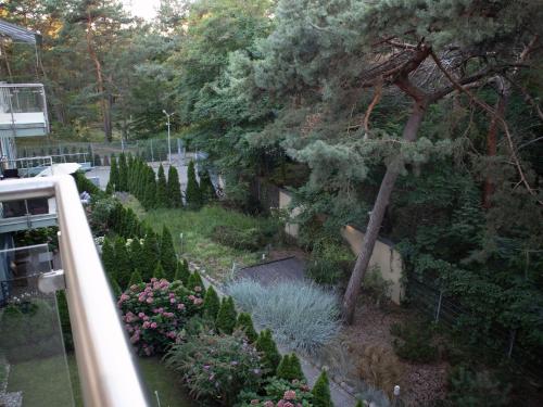 a garden with plants and trees on a balcony at Dariusz Apartament PREMIUM Jurata z garażem in Jurata