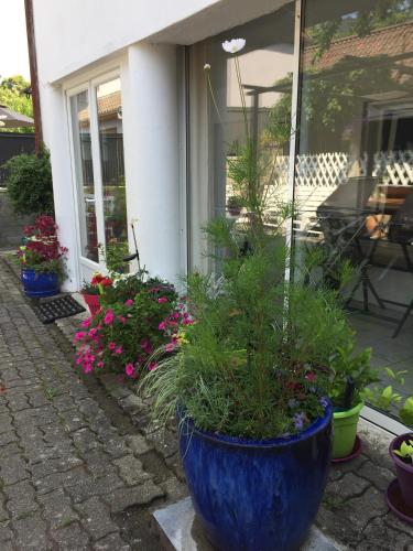 a large blue pot filled with plants in front of a house at Gîte Le 1602 in Saint-Nabor