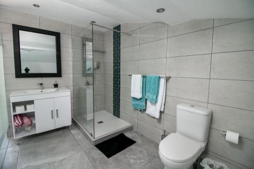 高登灣的住宿－Bikini Beach Penthouse，浴室配有卫生间、淋浴和盥洗盆。