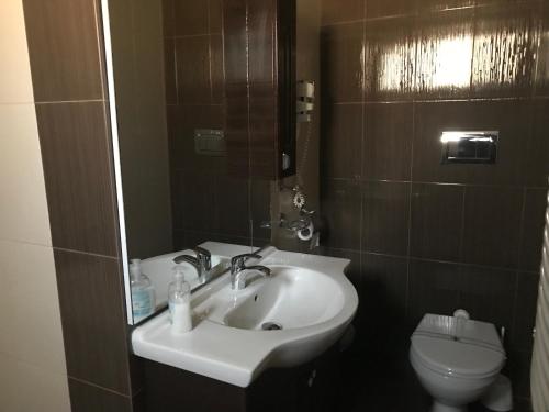 a bathroom with a sink and a toilet at Pensiunea Domnika in Dej