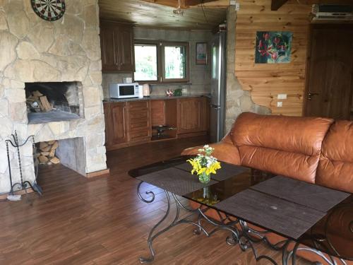 a living room with a couch and a stone fireplace at Диброва in Dibrova