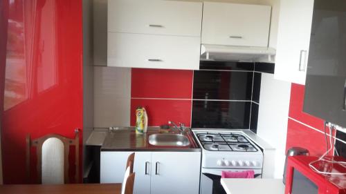 a small kitchen with a stove and a red wall at Apartmán Tatry-Nová Lesná in Nová Lesná