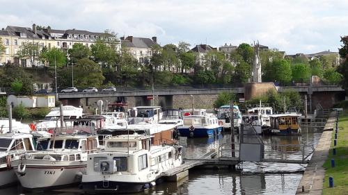 Un montón de barcos están atracados en un puerto deportivo. en Les Lamartine-chambres d'hôtes, en Le Mans
