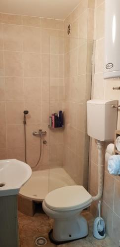 a bathroom with a shower with a toilet and a sink at Nice apartment in Niš