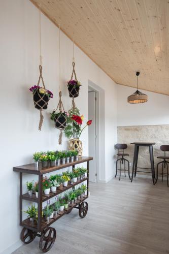 a plant cart with potted plants on it in a room at Porto Deluxe Suites in Porto