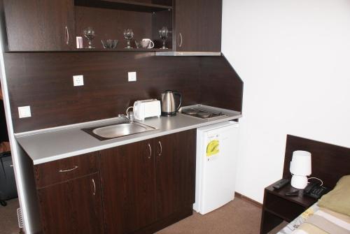 a small kitchen with a sink and a small refrigerator at Mountain Top Mina in Bansko