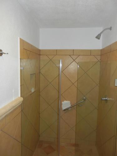 a shower with a glass door in a bathroom at Hotel 9 Manantiales in Chignahuapan