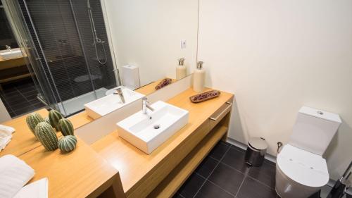 ペーゾ・ダ・レーグアにあるBugalha My Loft Douro 4のバスルーム(洗面台、トイレ、鏡付)