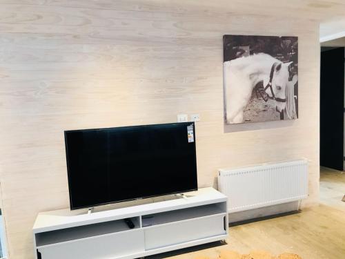 Télévision ou salle de divertissement dans l'établissement Casas Punta Costanera