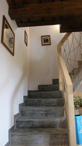 Imagen de la galería de Willa u Kuruca, en Witów