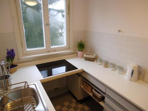 a small kitchen with a sink and a window at Ferienwohnung am Schloss in Karlsruhe
