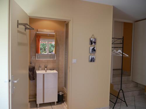 La salle de bains est pourvue d'un lavabo et d'une douche. dans l'établissement Villa Seignemartin, à Lyon