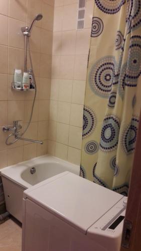 a bathroom with a shower and a bath tub at Tulpių apartamentai in Panevėžys