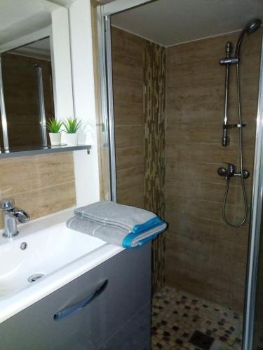 une salle de bain avec un lavabo et une douche dans l'établissement Studio Champagne, à Châlons-en-Champagne