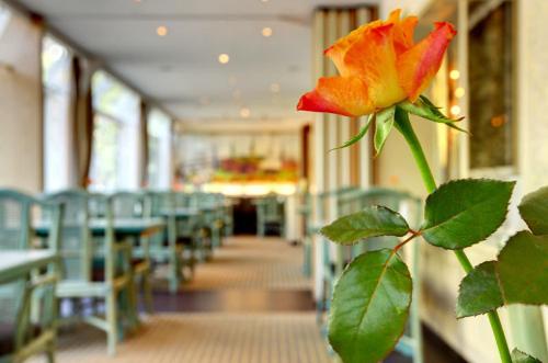 a flower in the middle of a room with chairs at Hotel Senator Hamburg in Hamburg