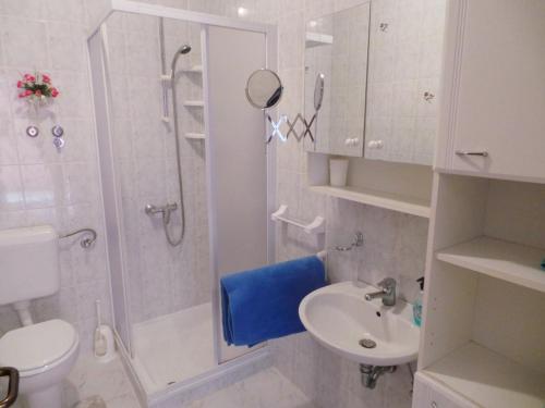 W łazience znajduje się prysznic, toaleta i umywalka. w obiekcie Apartment in Medulin/Istrien 9044 w Medulinie