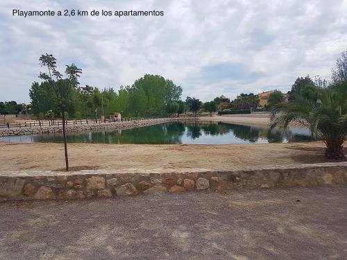 a pool of water with a palm tree in the middle at Casa Esquilador in Navarrés