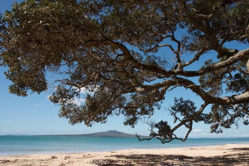 a tree on a beach with a view of the ocean at Auckland Waterfront Serviced Apartments on Prince's Wharf in Auckland