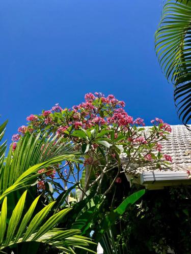 a plant with pink flowers on top of a building at Hari Indah Boutique Hotel & Spa in Uluwatu