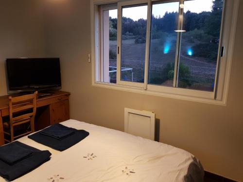 een slaapkamer met een bed, een televisie en een raam bij Les Bruyères in Civrieux-dʼAzergues