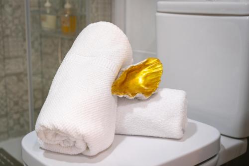 a roll of toilet paper sitting on top of a toilet at A&S Apartamentos Malaga in Málaga