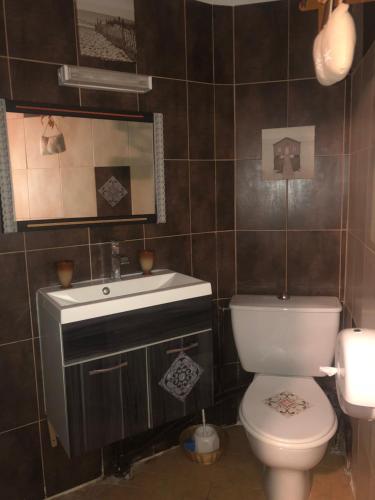 a bathroom with a toilet and a sink at Hôtel restaurant le delta in Saintes-Maries-de-la-Mer