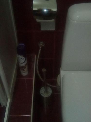 a bathroom with a toilet and a cleaning brush at Vershnyk in Cherkasy