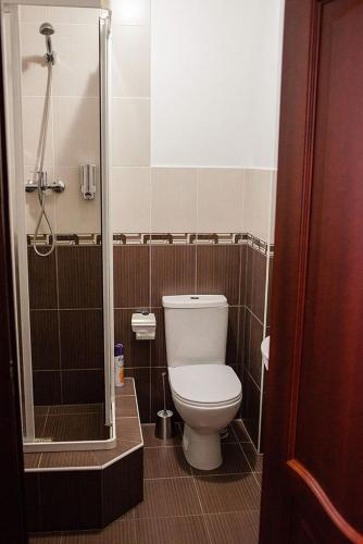 a bathroom with a toilet and a shower at Vershnyk in Cherkasy