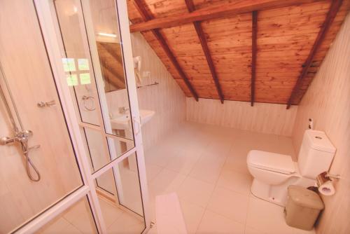 a bathroom with a toilet and a glass shower at Sarah Cottage Nuwara Eliya in Nuwara Eliya