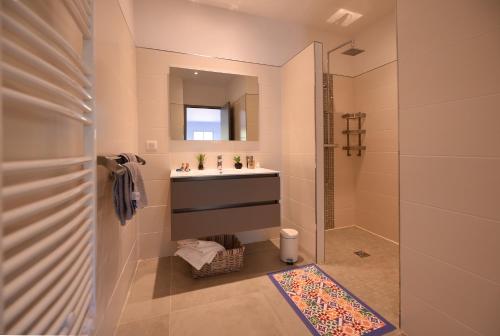 La salle de bains est pourvue d'un lavabo et d'une douche. dans l'établissement Sarl Valinco Locations, à Olmeto