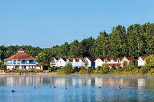 un grupo de patos nadando en un lago con casas en Residence Le Hameau du Lac - maeva Home, en Marciac