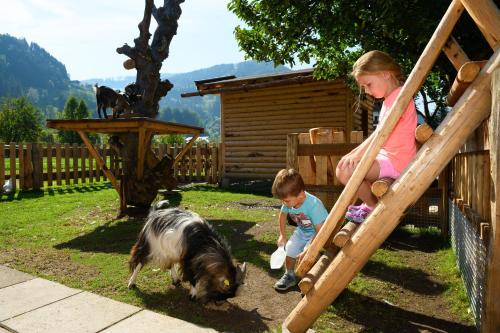 a boy and a girl playing on a slide with a dog at Hotel Auhof in Grossarl