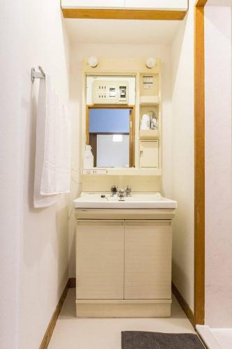 a bathroom with a sink and a mirror at Ikebukuro Yamase Building #GR1 in Tokyo