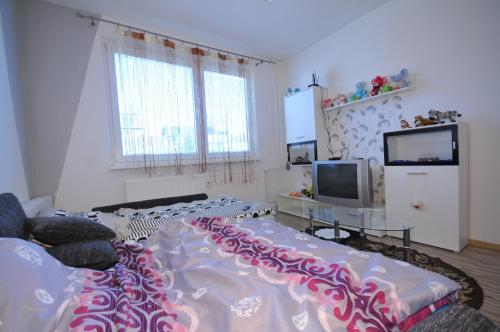 a living room with a large bed and a tv at Apartmán Tatry-Nová Lesná in Nová Lesná