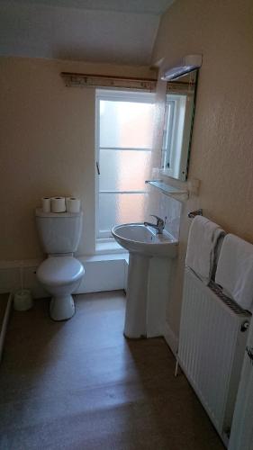 a bathroom with a toilet and a sink and a mirror at The Wellington Hotel in Howden