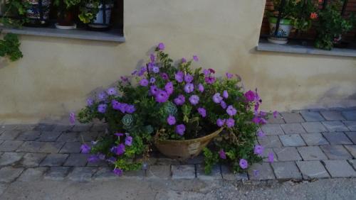 a pot of purple flowers on the side of a building at Casa Rural Francisca in Requena