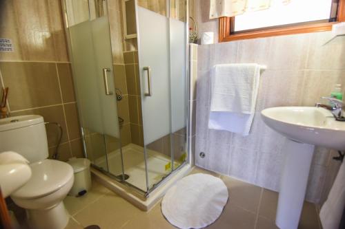 ein Badezimmer mit Dusche, Toilette und Waschbecken in der Unterkunft Casa Victor in La Orotava