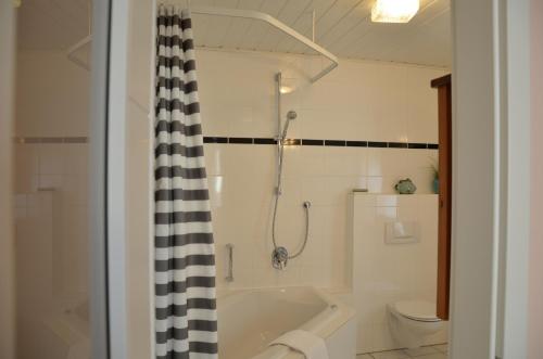 摩澤爾河畔的策爾的住宿－Schlafgut Zell Mosel，带浴缸和卫生间的浴室。